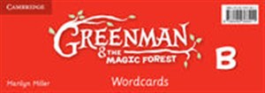 Bild von Greenman and the Magic Forest B Wordcards (Pack of 48)