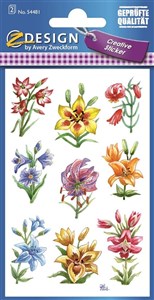 Obrazek Naklejki z kwiatami polnymi