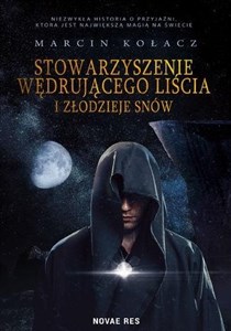 Obrazek Stowarzyszenie wędrującego liścia i złodzieje snów