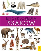 Encykloped... - Paweł Zalewski -  polnische Bücher