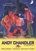 Przygody T... - Andy Chandler -  polnische Bücher