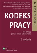 Polnische buch : Kodeks pra...