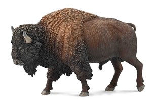 Bild von American Bison