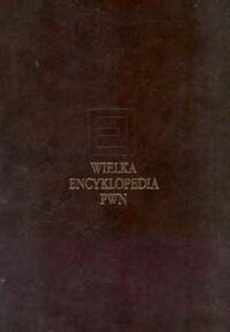 Obrazek Wielka encyklopedia PWN Tom 13