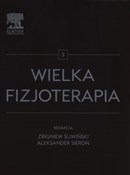 Wielka fiz... -  Polnische Buchandlung 