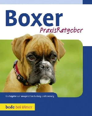 Obrazek FRITZ, M: BOXER