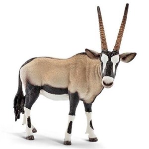 Bild von Antylopa oryx