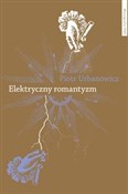 Zobacz : Elektryczn... - Piotr Urbanowicz