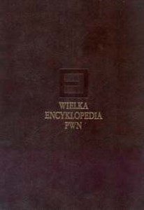 Obrazek Wielka encyklopedia PWN Tom 14