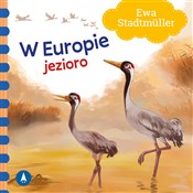 W Europie ... - Ewa Stadtmüller -  fremdsprachige bücher polnisch 