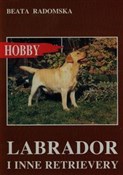 Zobacz : Labrador i... - Beata Radomska