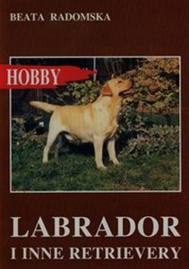 Obrazek Labrador i inne retrievery