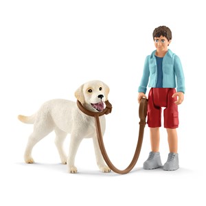 Bild von Spacer z Labrador Retriver Wiek 3-8