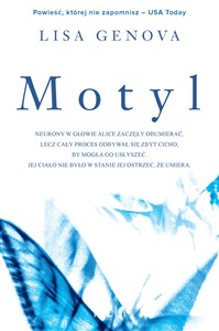 Obrazek Motyl