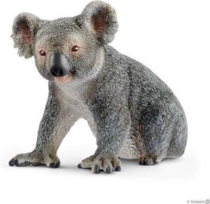 Bild von Miś koala