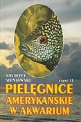 Pielęgnice... - Andrzej Sieniawski -  polnische Bücher