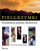 Pielgrzymk... - David Souden -  Książka z wysyłką do Niemiec 