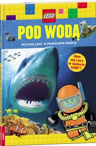 Obrazek Lego Pod Wodą