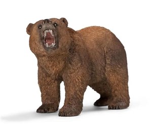 Bild von Niedźwiedź grizzly