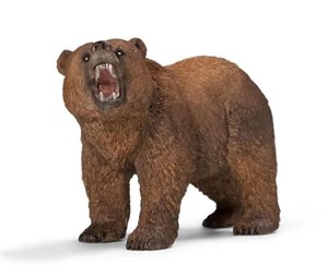 Obrazek Niedźwiedź grizzly