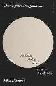 Bild von The Captive Imagination Addiction, Reality and our Search for Meaning