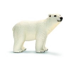Obrazek Niedźwiedź Polarny