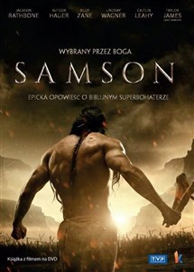 Bild von Samson