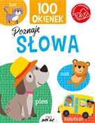 Polska książka : 100 okiene... - Kit Elliot