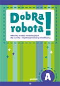 Zeige Details für Dobra robota Poziom A Materiały do zajęć rewalidacyjnych dla uczniów z niepełnosprawnością intelektualną Dobra robo... -  Książka z wysyłką do Niemiec