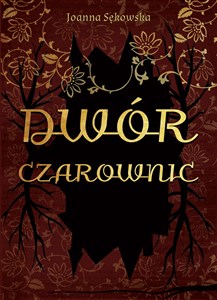 Bild von Dwór czarownic