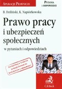 Zobacz : Prawo prac... - Bartłomiej Dziliński, Karolina Napiórkowska