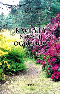 Obrazek Kwiaty naszych ogrodów