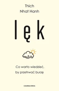 Obrazek Lęk Co warto wiedzieć, by przetrwać burzę