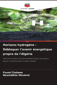Obrazek CHABANE, F: HORIZONS HYDROGENE : DÉBLOQUER L'AVENIR ÉNERGÉTI