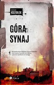 Góra Synaj... - Krzysztof Koziołek - buch auf polnisch 