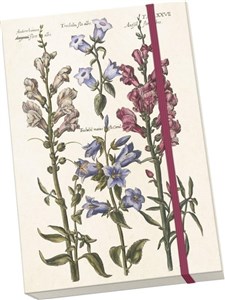 Obrazek Notatnik ozdobny A5 STNOTE 137 Niebieskie kwiaty