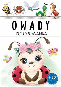 Obrazek Owady Kolorowanka