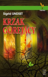 Bild von Krzak gorejący