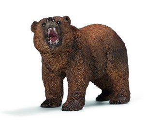 Bild von Niedźwiedź Grizzly