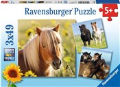 Puzzle Koc... - Ksiegarnia w niemczech