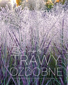 Obrazek Trawy ozdobne