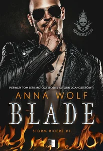 Bild von Blade Storm Riders #1