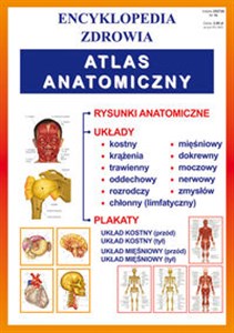 Obrazek Atlas anatomiczny Encyklopedia zdrowia