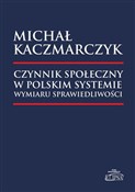 Polska książka : Czynnik sp... - Michał Kaczmarczyk