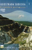 Geostrada ... - Tomasz Bartuś - buch auf polnisch 