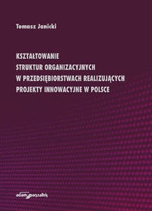 Bild von Kształtowanie struktur organizacyjnych w przedsiębiorstwach realizujących projekty innowacyjne w Polsce