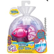 LITTLE LIV... -  Polnische Buchandlung 