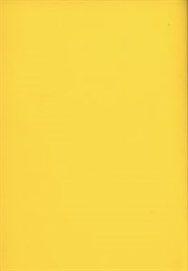 Bild von Zeszyt B5 Rainbow w kratkę 96 kartek żółty