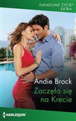 Zaczęło si... - Andie Brock -  fremdsprachige bücher polnisch 