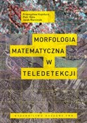 Książka : Morfologia... - Przemysław Kupidura, Piotr Koza, Jacek Marciniak